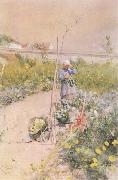Carl Larsson In the Kitchen Garden oil painting artist